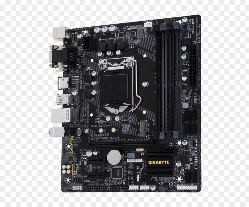 Intel LGA 1151 MicroATX Motherboard GIGABYTE GA-B250M-DS3H PNG