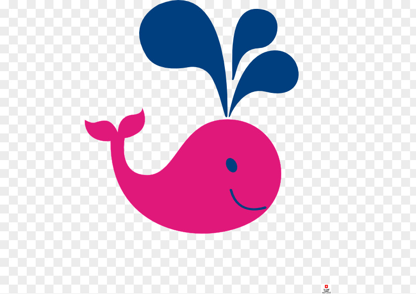 Minke Whale Free Clip Art PNG