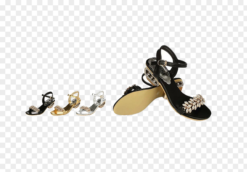 Ms. Sandals Flip-flops Sandal Shoe Boot High-heeled Footwear PNG