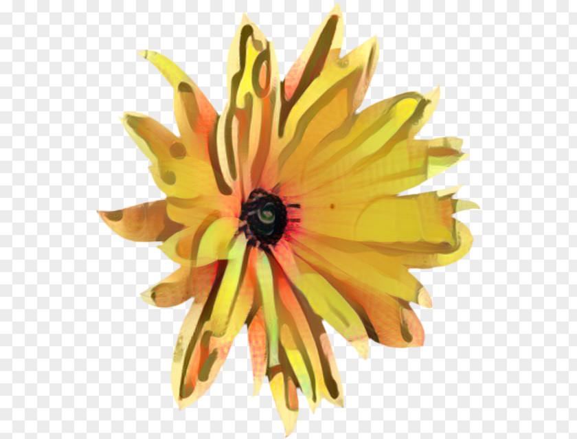 Wildflower Blackeyed Susan Flowers Background PNG