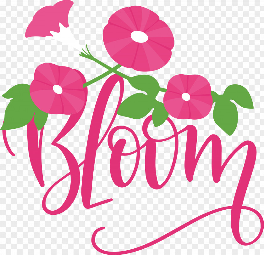 Bloom Spring PNG