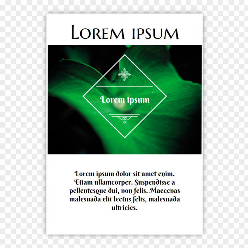 Site Poster Green Font PNG