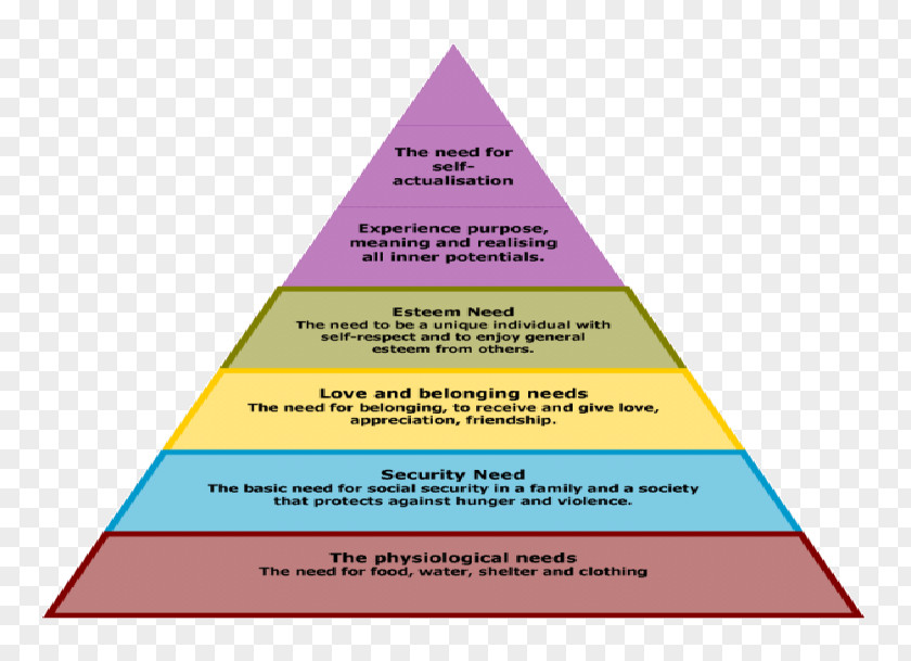 Consciousness Maslow's Hierarchy Of Needs Motivation Fundamental Human PNG