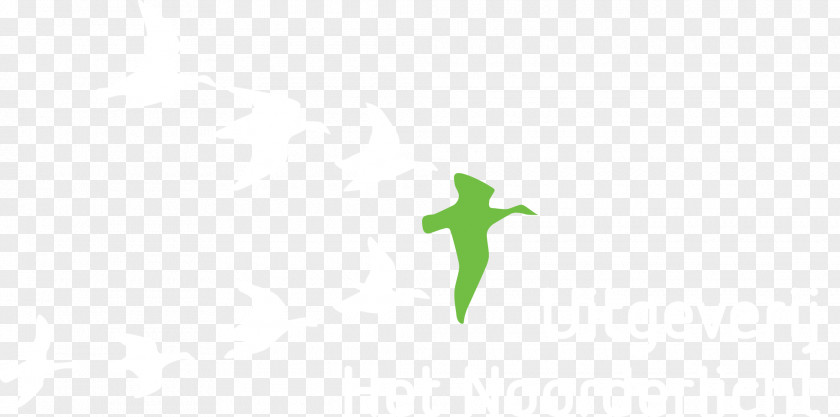 Design Logo Green Desktop Wallpaper Font PNG