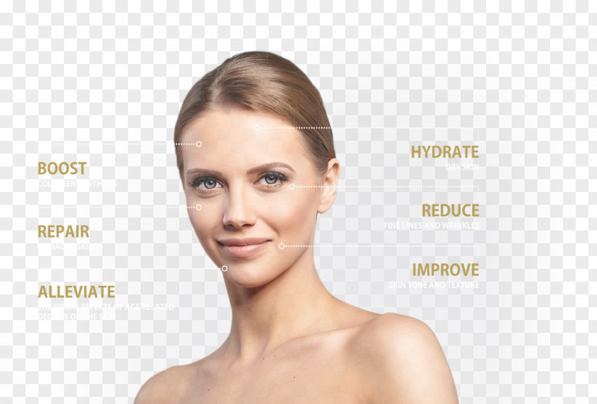 Face Skin Care Facial Eyebrow PNG