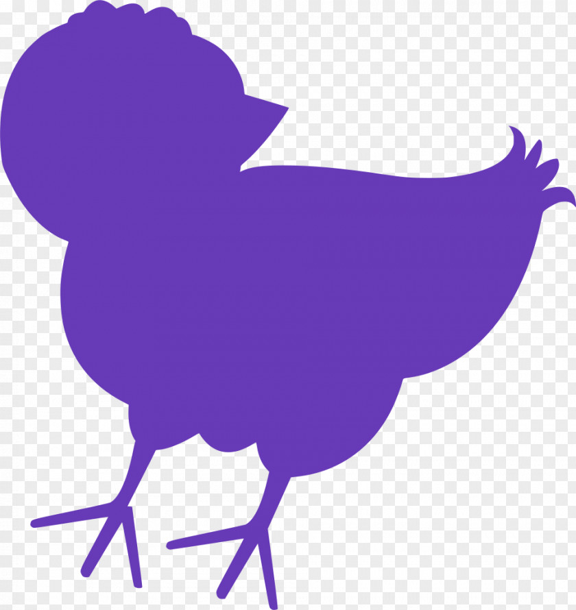 Fowl Livestock Bird PNG