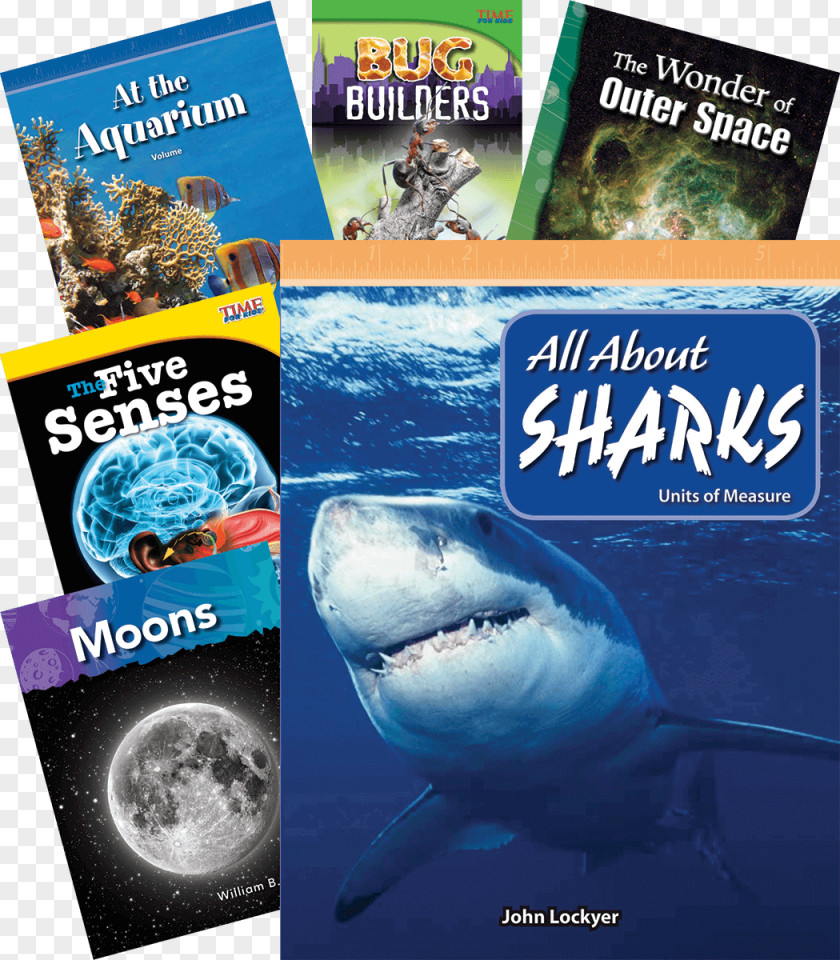 Guided Reading Library Book Room Shark Water Fish Advertising Marine Biology PNG