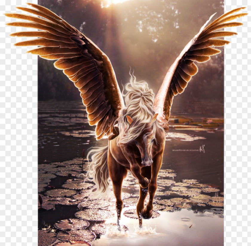 Horse Flying Horses Wing Pegasus Unicorn PNG