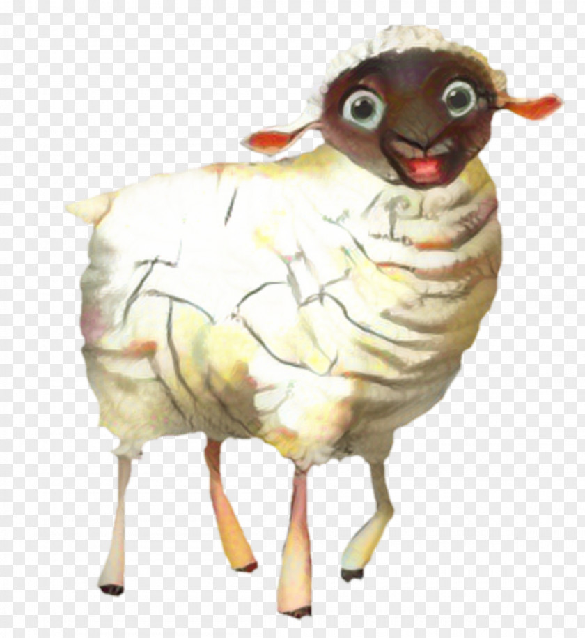 Ruth The Sheep Clip Art Illustration PNG