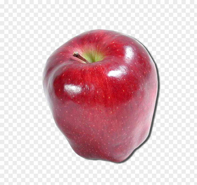 Apple Malus Sylvestris Fruit Seed AgroWorld 2018 PNG