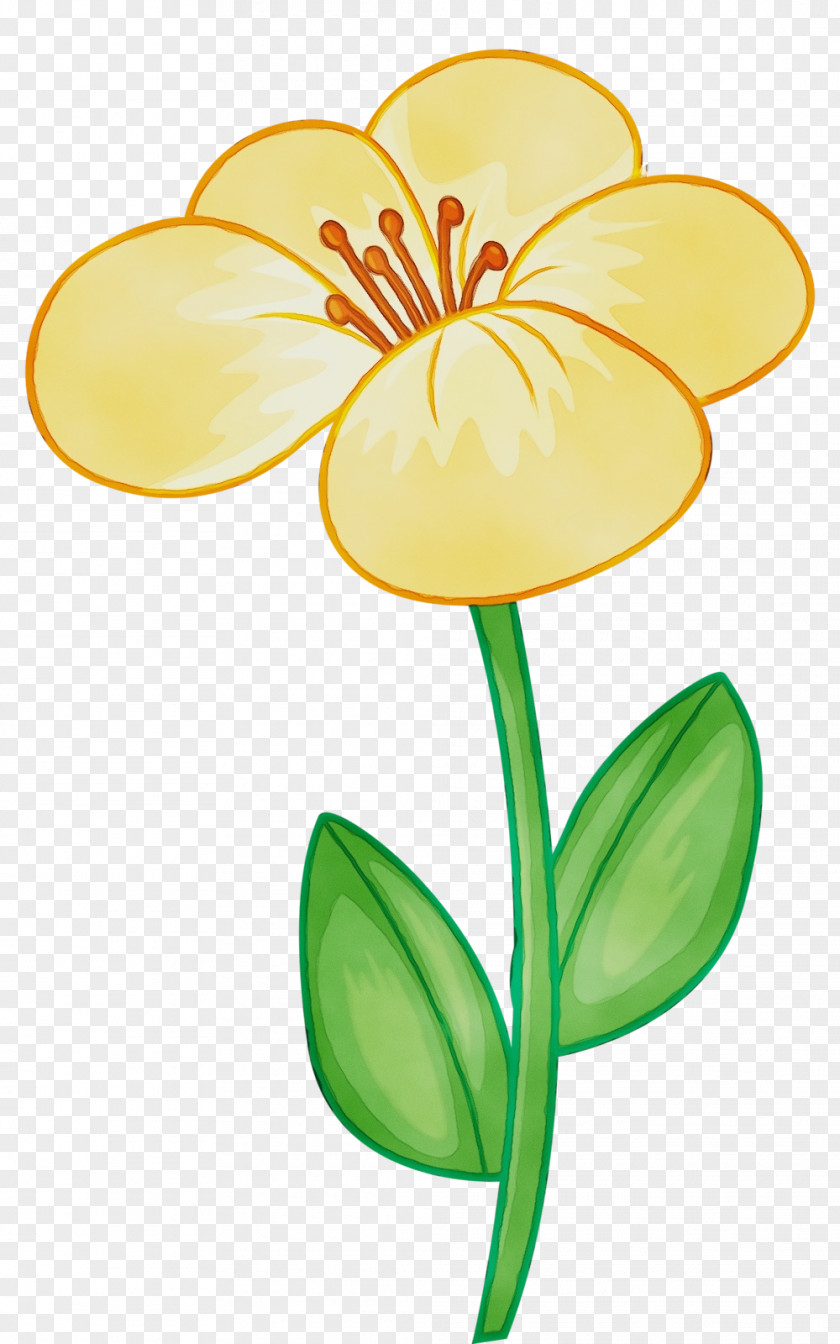 Flowering Plant Stem Clip Art Yellow Flower Petal PNG