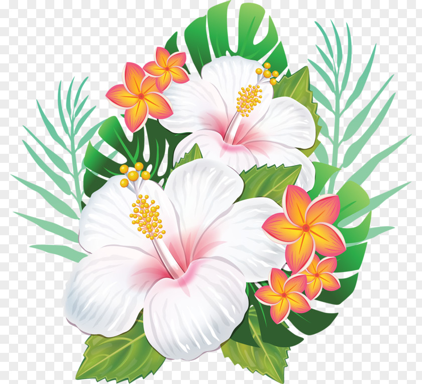 Hawaiian Flower Rosemallows Hibiscus PNG