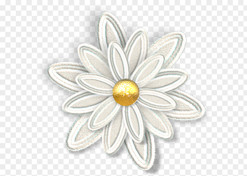 Jewellery Petal Body Cut Flowers PNG