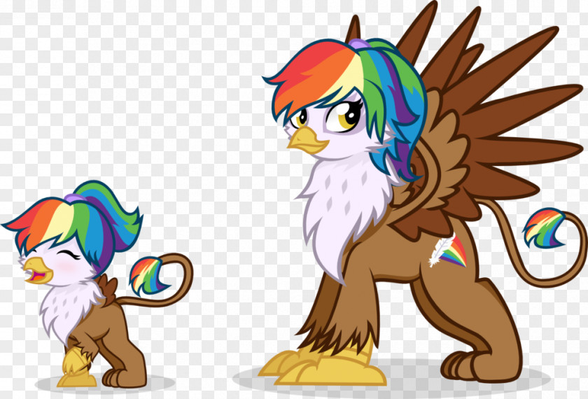 Owl Rainbow Dash Feathers Pin Feather PNG