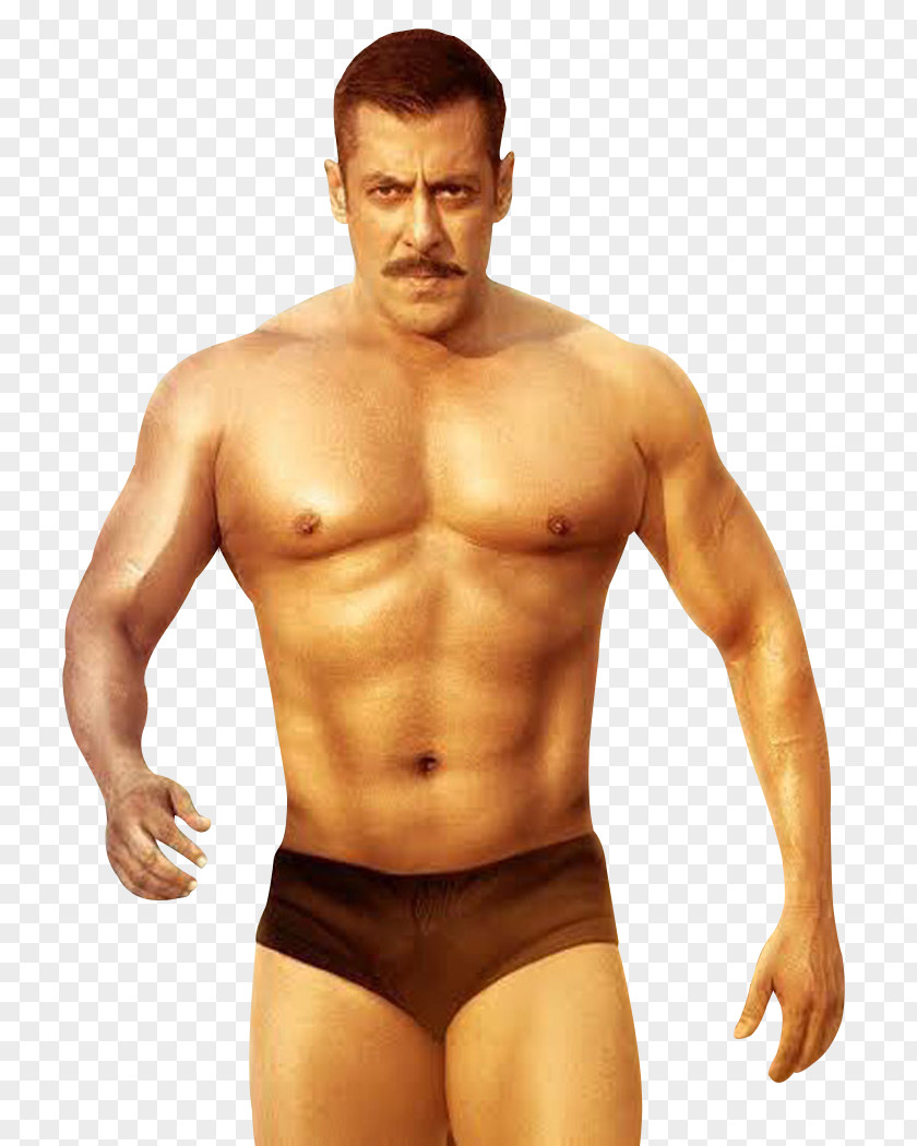 Salman Khan Sultan Action Film Bollywood PNG