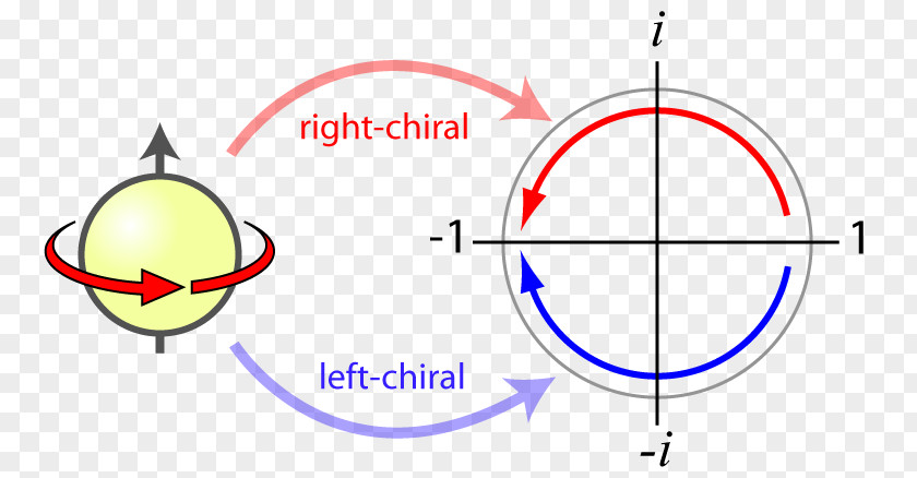 Standard Model Of Particle Physics Spin Elementary Fermion PNG