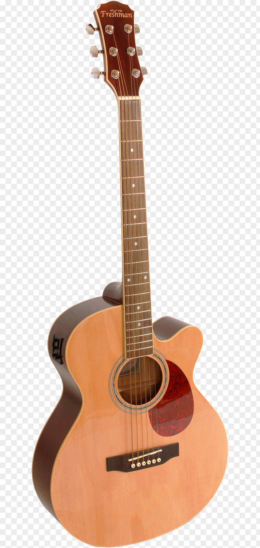 Acoustic Guitar Cutaway Acoustic-electric Dreadnought PNG