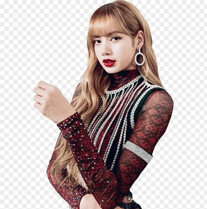 Blackpink Lisa List Of Concert Tours K-pop TWICE PNG