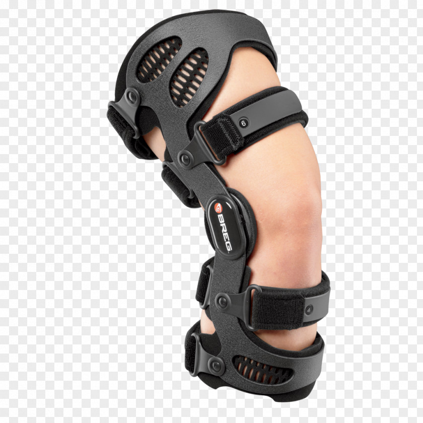 Braces Knee Anterior Cruciate Ligament Posterior Breg, Inc. Osteoarthritis PNG