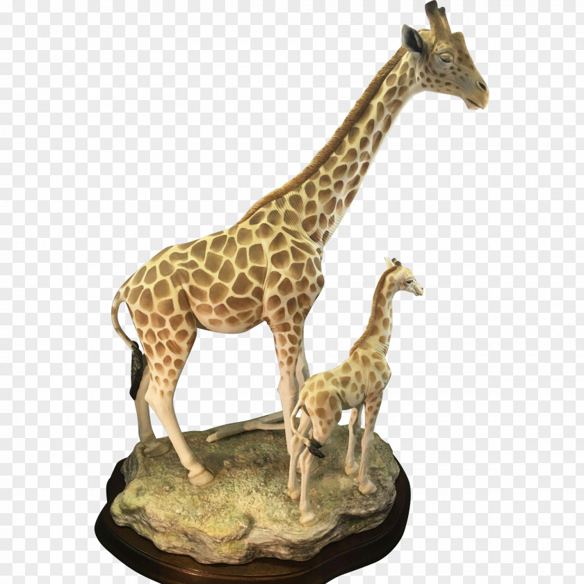 Calf Giraffe Wood /m/083vt Terrestrial Animal Wildlife PNG