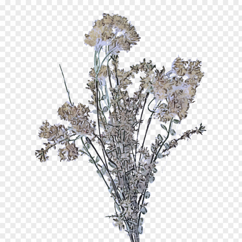 Flower Plant Cut Flowers Branch Tree PNG