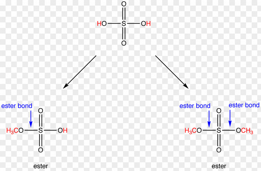 Line Point Angle PNG