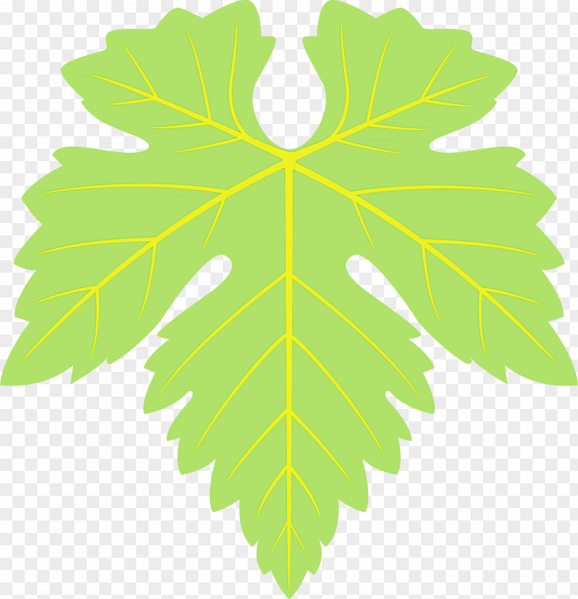 Maple Leaf PNG