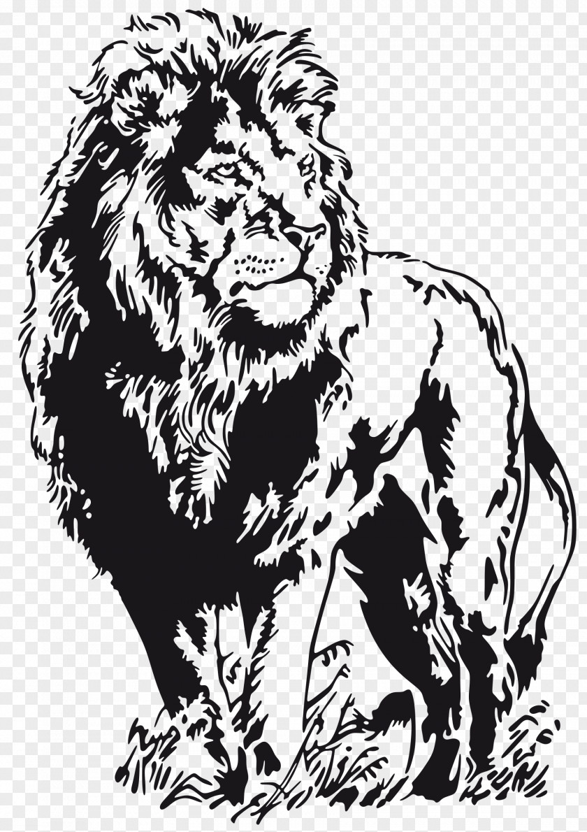 Roar Line Art Lion Drawing PNG