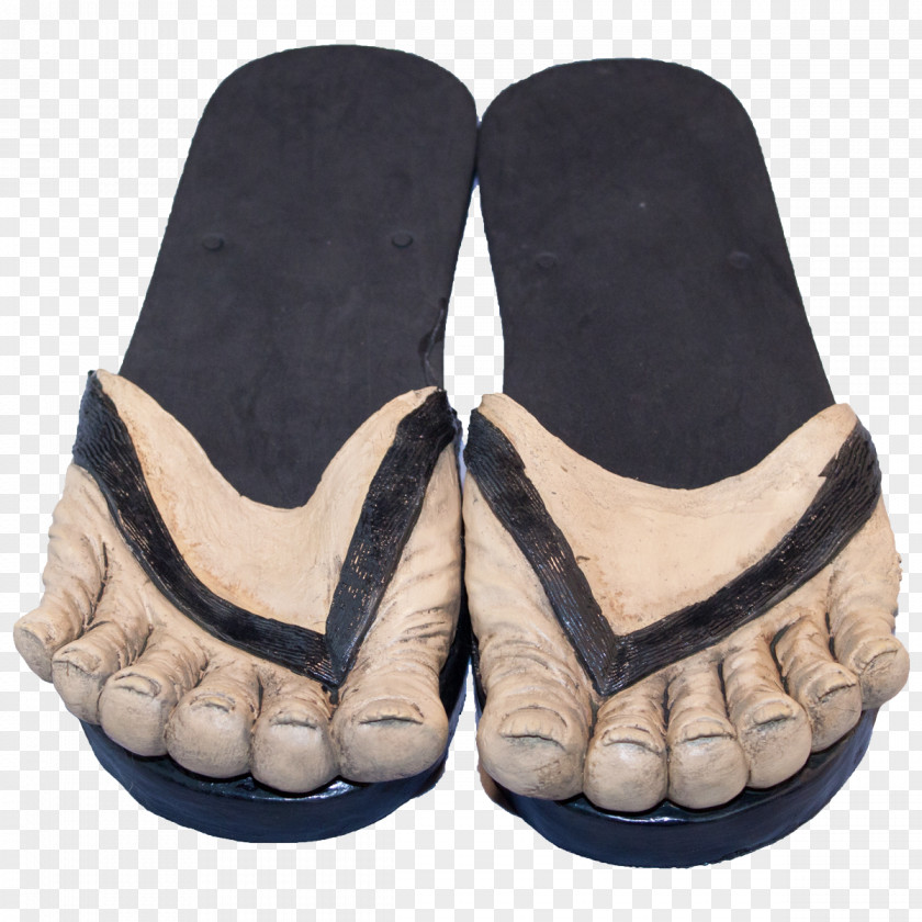 Sandal Slipper Foot Shoe PNG