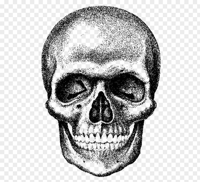 Skull Royalty-free PNG
