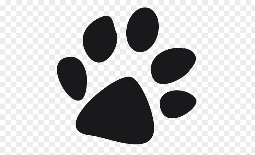 Studio Flyer Dog Paw Birthday Cat Footprint PNG