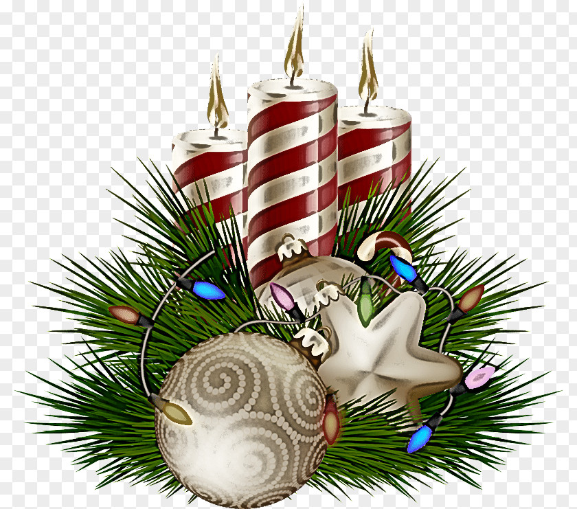Christmas Eve Plant Ornament PNG