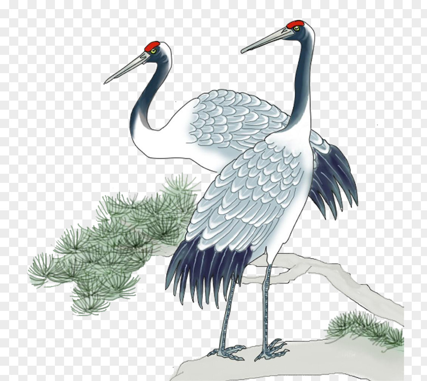 Crane Red-crowned Bird PNG
