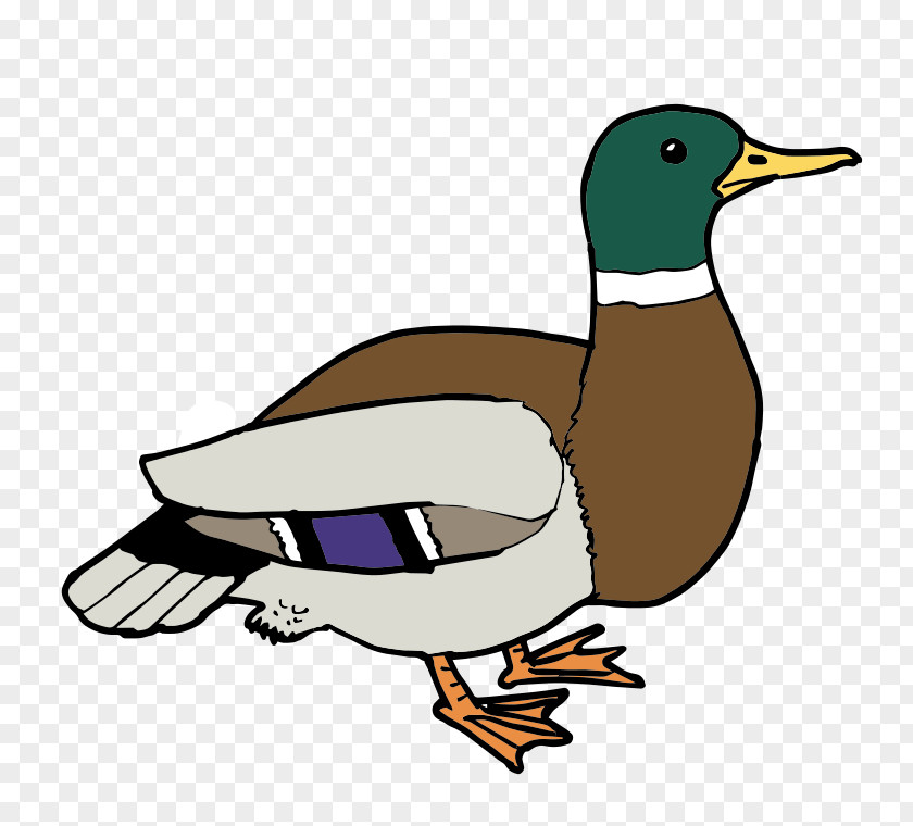 Duck Donald Baby Ducks Clip Art PNG