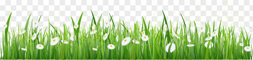 Grass Border Texture PNG border texture clipart PNG