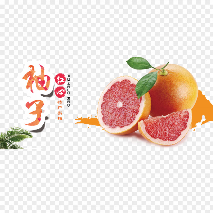 Red Grapefruit Poster Design Pomelo Juice Tangerine PNG