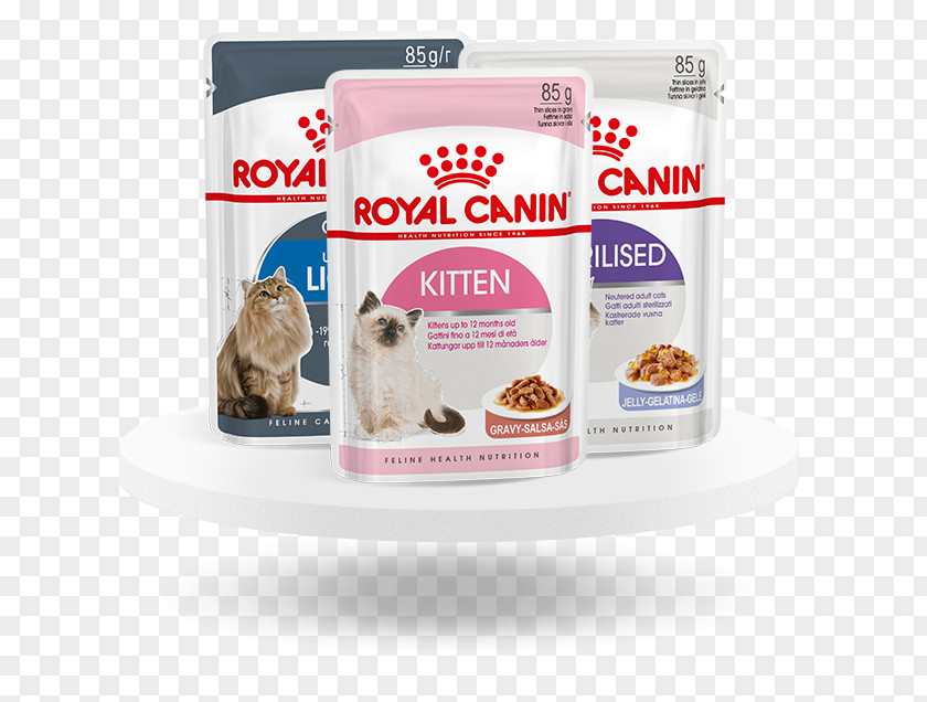 Royal Canin Cat Food Kitten Persian Dog Maine Coon PNG