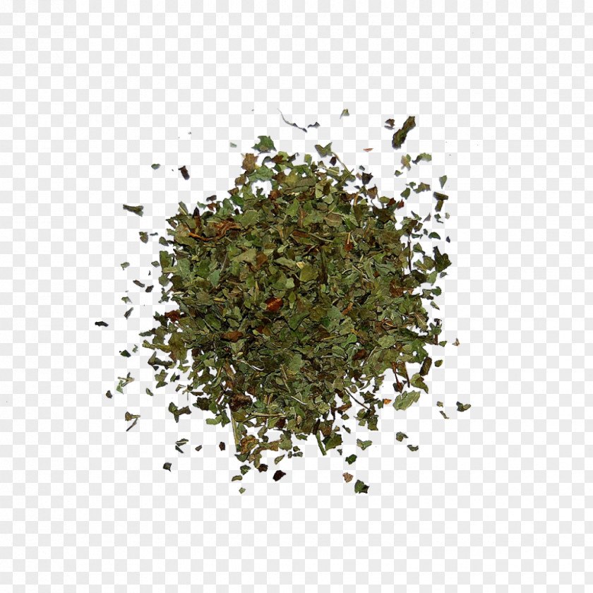 Spices Herbs Seasoning PNG
