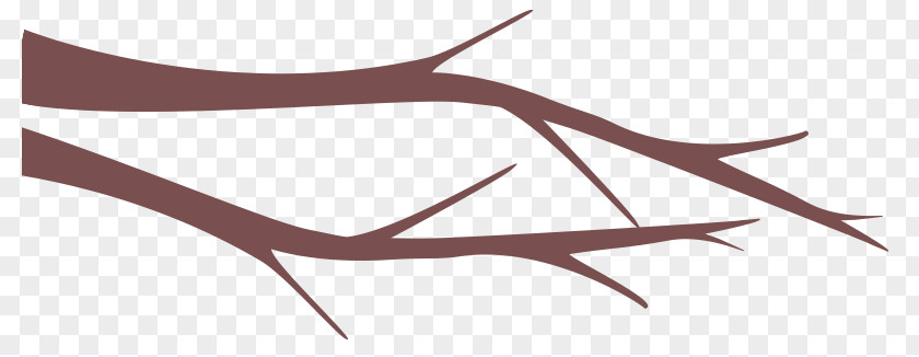 Twig Branch Background PNG