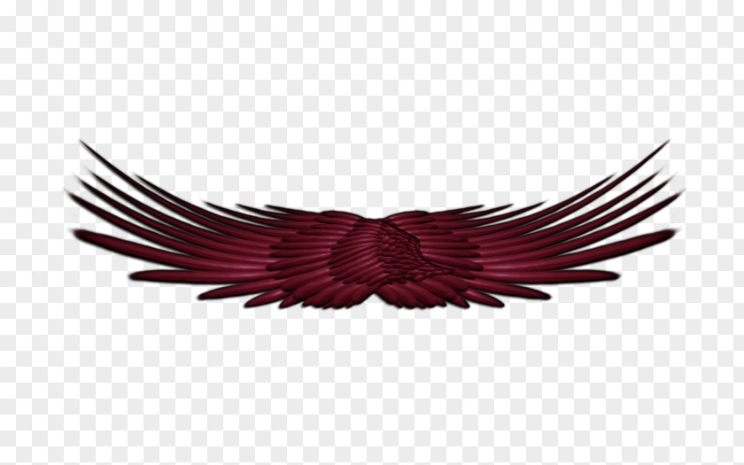 Wings Magenta Purple Maroon Violet Brown PNG