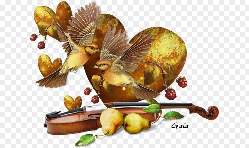 Bird Fruit PNG