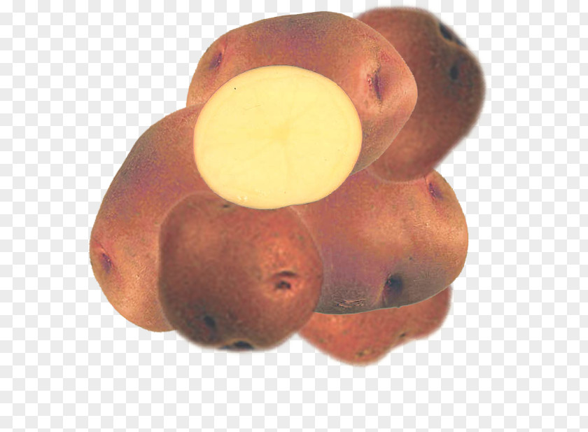 Red Potato Root Vegetables PNG
