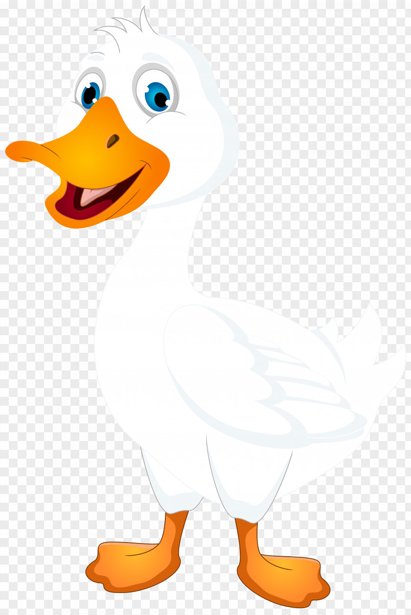 White Duck Cartoon Clip Art Image PNG