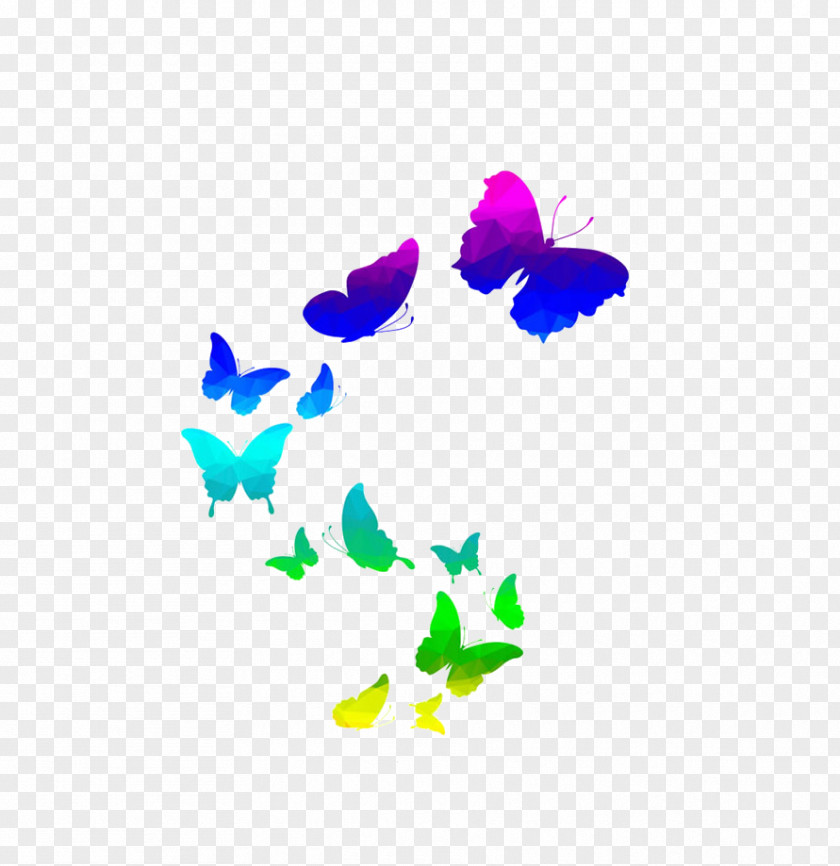 Butterfly Poster PNG