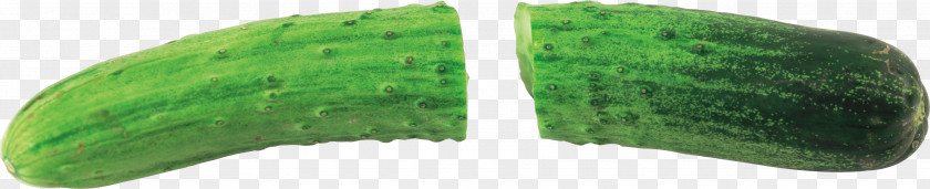 Cucumber Leaf Green Headgear PNG