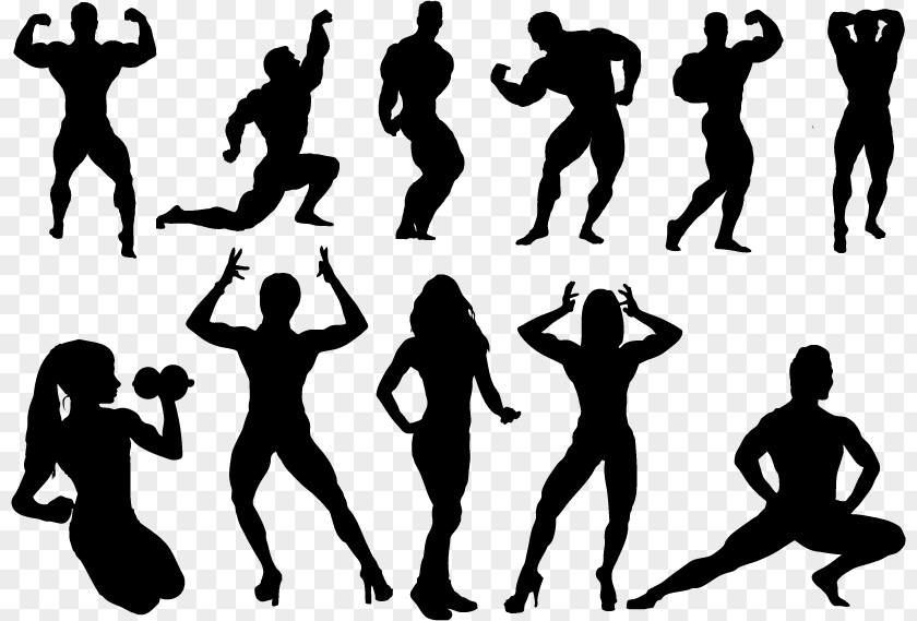 Fitness Silhouette Figures Bodybuilding Physical Clip Art PNG