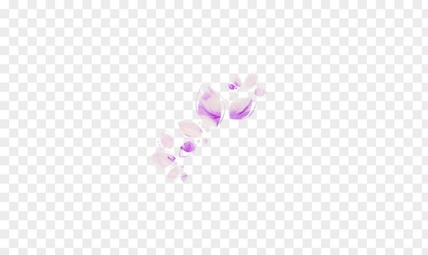 Lilac Amethyst Petal Purple PNG