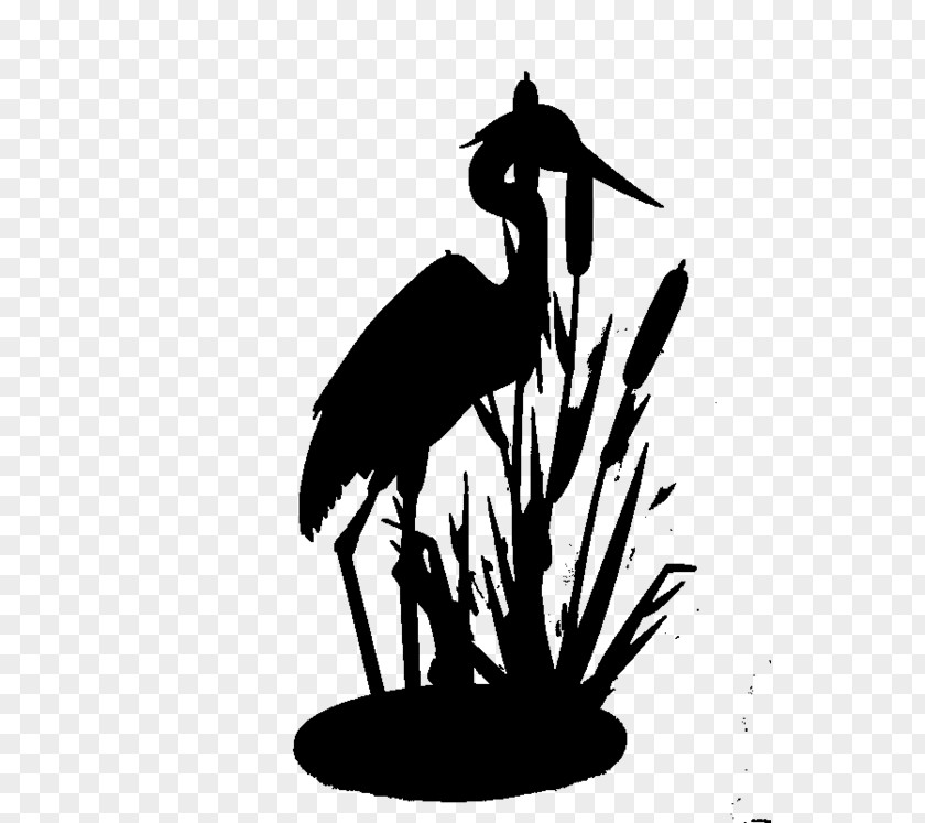 Stork Bird Crane Clip Art Beak PNG