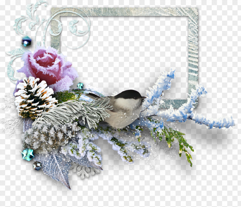 Winter Centerblog Snow Flower Spring PNG