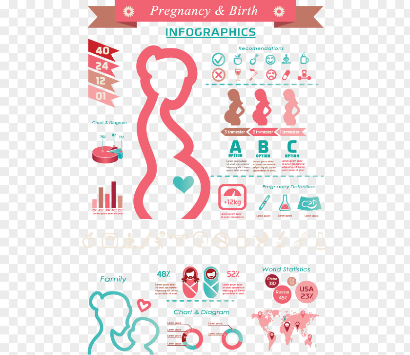 Cartoon Pregnant Women Vector Material Pregnancy Childbirth Infographic Icon PNG